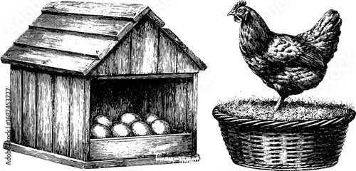 Rustic chicken coop and nesting hen engraving set for farmhouse decor