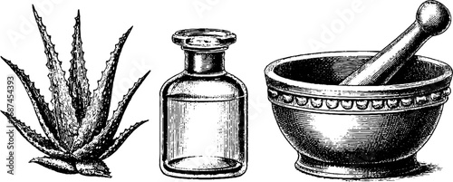 Engraved collection of aloe plant glass bottle and mortar with pestle for herbal remedies and natural medicine design