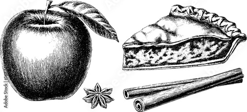 Vintage engraved apple and cinnamon collection for retro design
