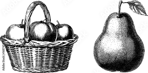 Vintage engraved illustration set of apples in basket and pear - retro design for labels and prints
