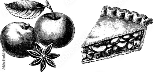 Vintage engraving of apple pie slice and whole apples - retro dessert illustration for culinary designs