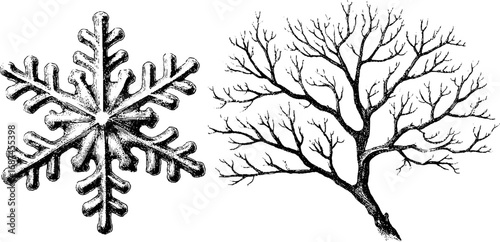 Vintage engraved illustration set of frosty snowflake and bare tree branch for retro design