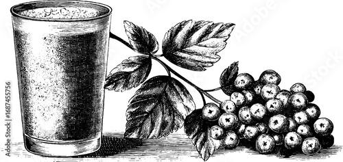 Vintage engraved illustration of berry smoothie with glass and leafy branch for retro designs
