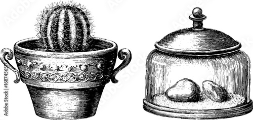 Vintage engraved illustration set of cactus pot and terrarium for design