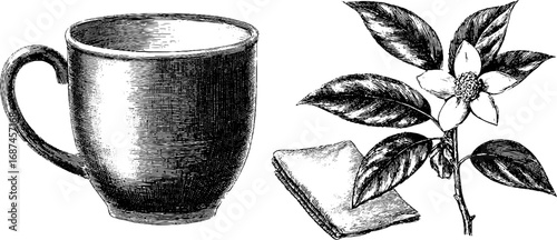 Vintage engraved illustration of ceramic mug and botanical elements for design