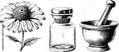 Vintage herbal collection featuring chamomile flower, apothecary bottle, and mortar with pestle