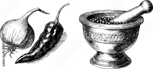 Engraved illustration set with chili pepper, onion and mortar pestle, retro culinary sketch.
