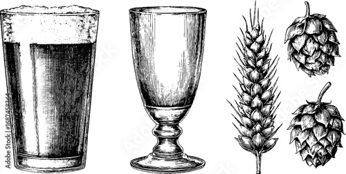 Vintage craft beer glasses and ingredients sketch for brewing design