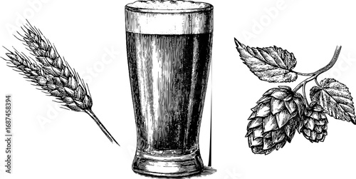 Vintage engraved illustration set of craft beer glass with hops and barley elements for design