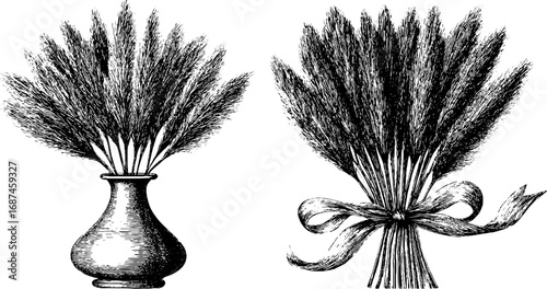 Vintage engraving of dried pampas grass arrangements in vase and bouquet