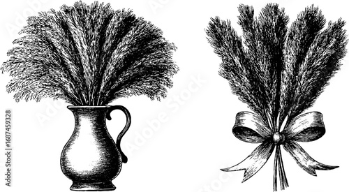 Engraved vintage illustration set with dried pampas grass bouquet, decorative retro sketch design.
