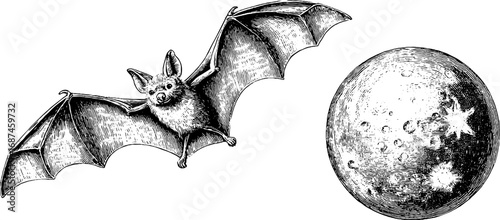 Vintage engraved illustration of flying bat and full moon - retro nature scene