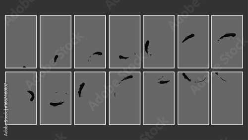 Circular Swirls Animation | Frame by Frame Vector Sequence