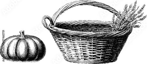 Engraved illustration set featuring harvest basket and pumpkin for autumn decor