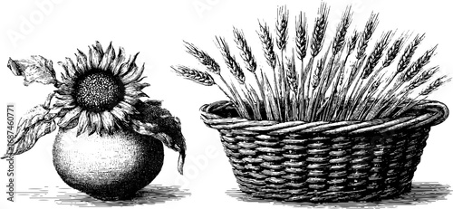 Vintage engraved illustration set of harvest basket with wheat and sunflower for autumn design