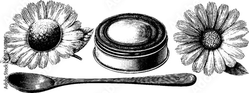 Vintage herbal salve tin with chamomile flowers and spoon for natural skincare design
