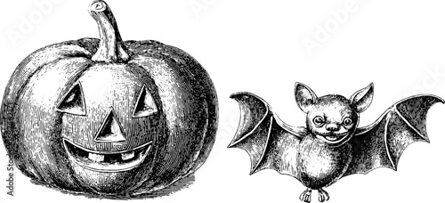 Halloween engraved illustration set of jack-o'-lantern and bat for seasonal decor