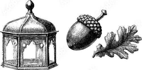 Vintage engraved illustration set of lantern and acorn for retro design projects