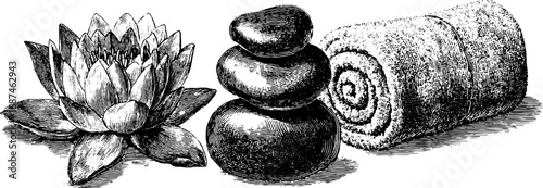 Engraved illustration set of lotus flower and stones for spa and relaxation themes