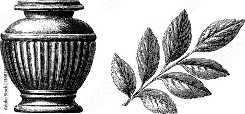 Vintage marble urn and acanthus leaf illustration collection for design and decor