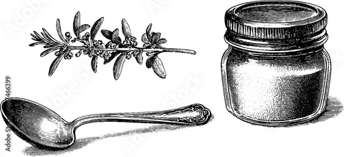 Vintage engraving of rosemary sprig with spoon and jar - hand drawn collection for design purposes