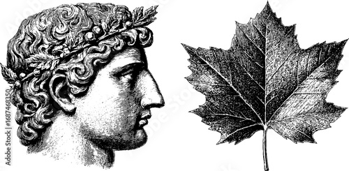 Engraved profile of classical statue and detailed leaf illustration for design and decor
