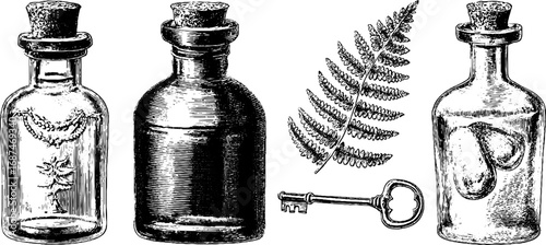 Vintage engraved illustration set of tincture bottles, key, and fern leaf for retro design projects