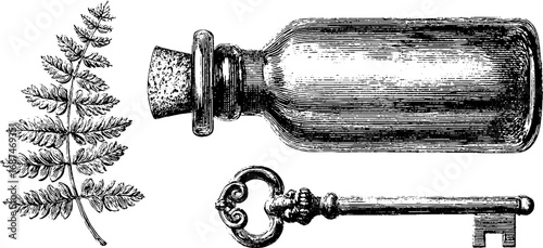 Vintage engraved set of tincture bottle, fern, and antique key illustration for retro design