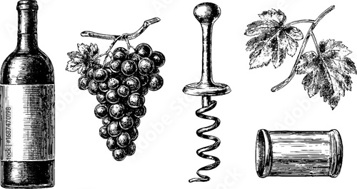 Vintage engraved illustration set of wine bottle, grapes, and accessories – perfect for design projects