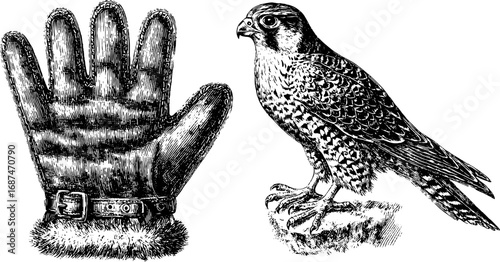 Engraved falconry scene with falcon and glove in snowy arctic setting