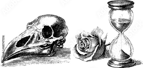 Vintage engraving of raven skull, hourglass, and rose - ideal for design prints and cards