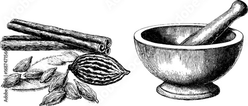 Indian spices engraving set with cinnamon, cardamom, and mortar for culinary design