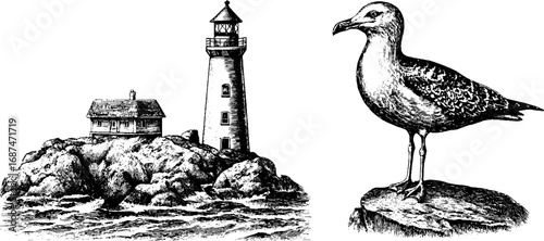 Vintage lighthouse and seagull engraving set for coastal design and decoration