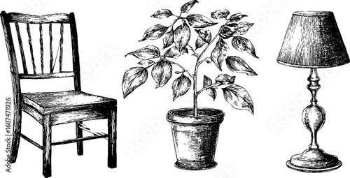 Minimalist interior design elements: engraved chair, potted plant, and lamp set