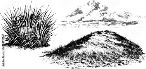Prairie landscape: engraved grass tuft collection for artistic design and print