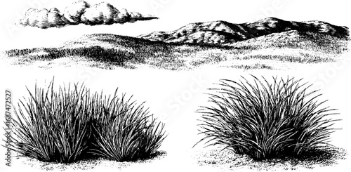 Prairie landscape and grass tufts engraved illustration set for design and print