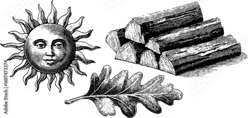 Summer solstice sun, oak leaf, and firewood engraved illustration set