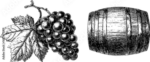 Winemaking illustration set featuring engraved grape cluster and barrel design