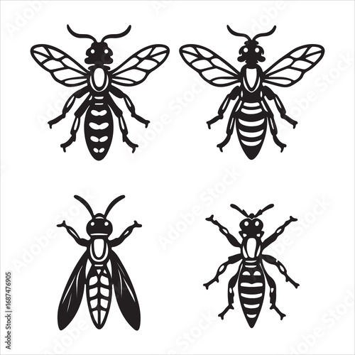 A Close-up Macro of a Wasp, a Dangerous and Sleek Insect with a Narrow Waist and a Bold Black and Yellow Warning Pattern