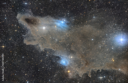 Dark Shark Nebula - ldn 1235