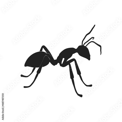 Detailed ant illustration, perfect for science resources, biology or environmental projects, scalable graphic