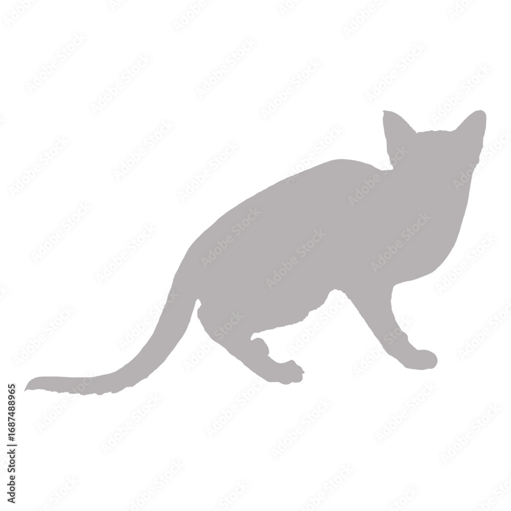 Fototapeta premium Silhouette of a sleek cat standing on a black background