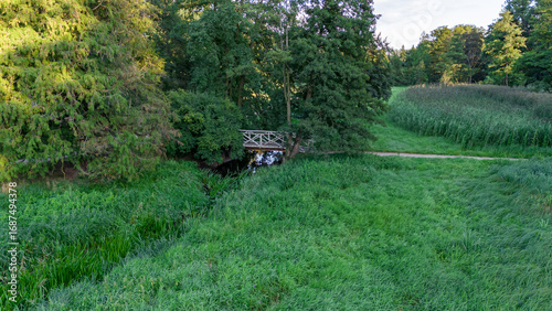 
Bridge over the stream