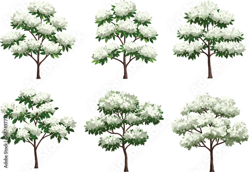 PrintCollection of green leafy trees with white flowers, spring botanical illustration, nature floral design, garden plants vector art, seasonal bloom