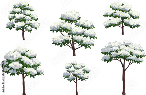 PrintCollection of white flowering trees with green leaves, blooming nature, spring garden illustration, seasonal floral design, vector botanical art