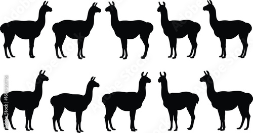 Silhouette illustrations of llamas in various poses, standing and walking, ideal for farm, wildlife, and domestic animal-themed designs.