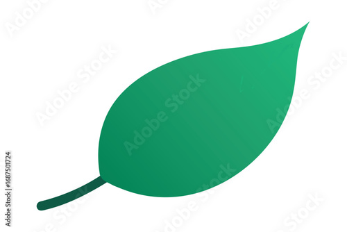 A single gradient green leaf with a stem against a white background