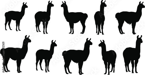 Silhouette illustrations of llamas in various poses, including standing, sitting, and walking, perfect for farm, wildlife, and animal-themed designs.