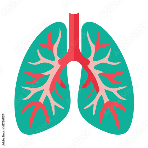 Human lungs illustration showcasing respiratory system anatomy for medical education or healthcare.