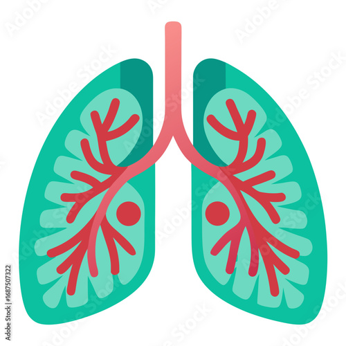 Anatomy of lungs, medical illustration showing the human respiratory system in a healthy state